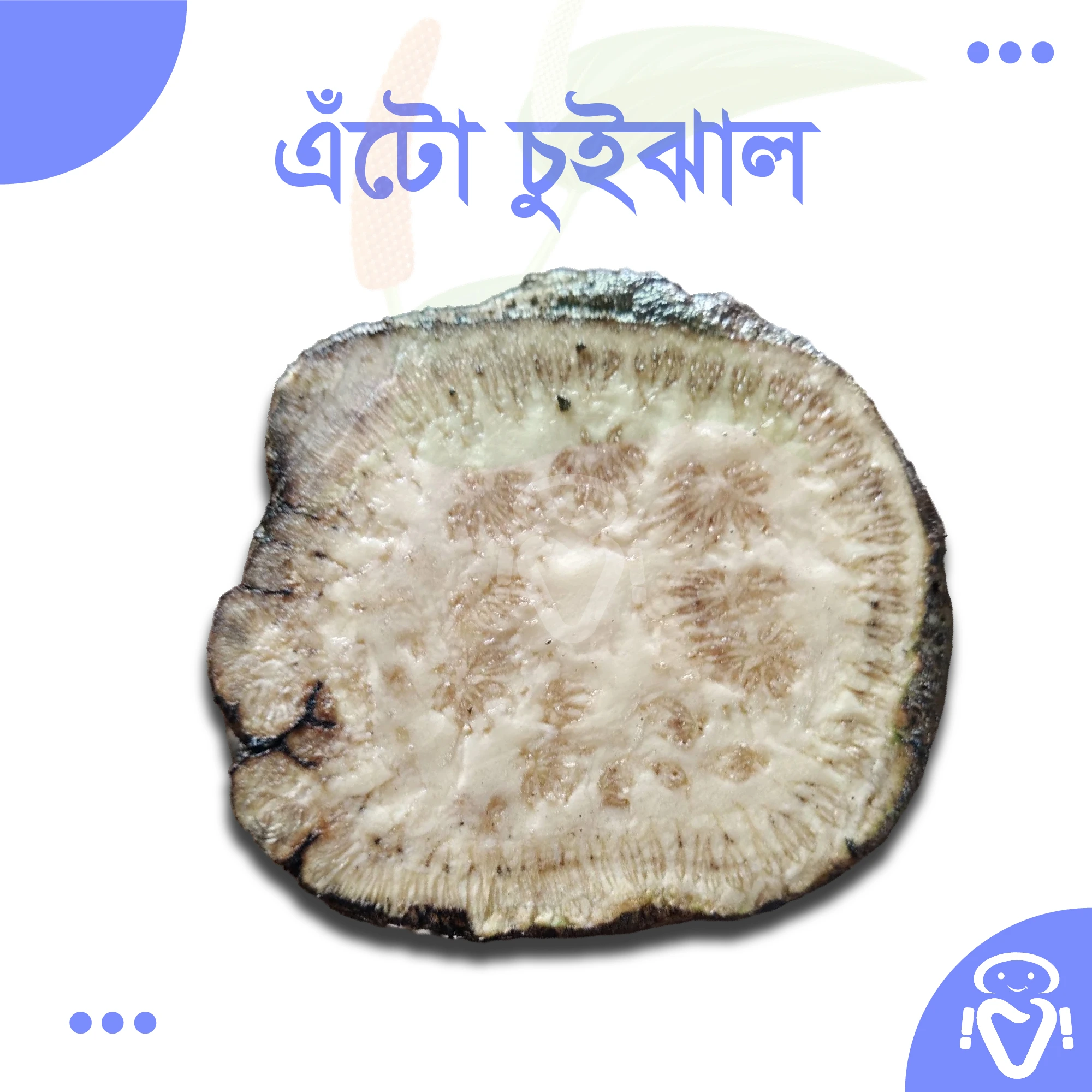 যশোর-খুলনার প্রিমিয়াম দেশি এঁটো চুইঝাল